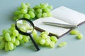 Grapes, magnifying glass and notebook on light green background. Checking quality of grapes in laboratory. Selection of grapes for