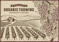Grapes Organic Farming Landscape Royalty Free Stock Photo