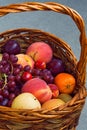 Grapes, peach, plums, cherry, harvest Royalty Free Stock Photo