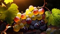 grapes photorealistic