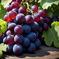 grapes photorealistic