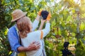 Grapes picking. Couple of farmers gather crop of grapes on ecological farm. Happy senior man and woman checking fruits