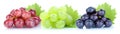 Grapes red green blue fresh fruits fruit Royalty Free Stock Photo
