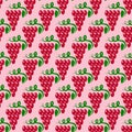 Grapes Seamless Pattern. Vine Background. Royalty Free Stock Photo