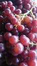 Grapes