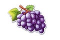 Grapes Sticker On White Background. Generative AI Royalty Free Stock Photo