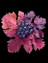 Grapes Royalty Free Stock Photo