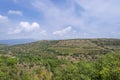 Grapes valley under a blue sky with white clouds Royalty Free Stock Photo