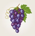 Grapes