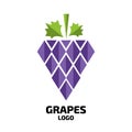 Grapes vector logo. Wine, vine logo. Grapes logo