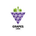 Grapes vector logo. Wine, vine logo. Grapes logo