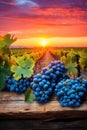 grapes and Vineyard in the Sunset. rustic wood base. vibrant sunset.