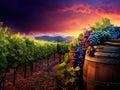 Grapes in the Vineyard Sunset. wine barrel. vibrant sunset.