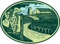 Grapes Vineyard Winery Oval Woodcut