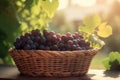 Grapes wicker basket food. Generate Ai