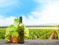 Grapes and wine in front of landscape of vineyard