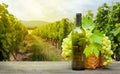 Grapes and wine in front of landscape of vineyard