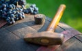 Grapes and winemaking hammer on the barrel