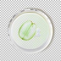 Grapeseed oil with grape slice in Petri dish isolated vector illustration. Pure natural organic essential skin care