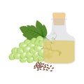 Grapeseed organic oil in glass bottle vector illustration