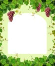 Grapevine border Royalty Free Stock Photo