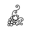 grapevine. Hand drawn doodle vector illustration isolated on whithe background. Simple drawings with black color Royalty Free Stock Photo