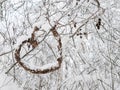 Grapevine Heart In Winter Woods Royalty Free Stock Photo