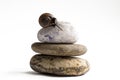 Grapevine snail on stack of spa stones against white background