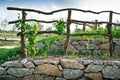 Grapevine Trellis on Terrace