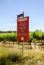 The grapevine of Varois in Provence with tourist information billboard