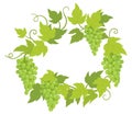 Grapevines plant frame circle banner. Round border grape frame. Place for text name or logo. Grapes green leaves. Vector flat