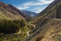 Grapeyard , Vineyard. Elqui Valley, Andes part of Atacama Desert Royalty Free Stock Photo