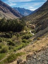 Grapeyard , Vineyard. Elqui Valley, Andes part of Atacama Desert Royalty Free Stock Photo