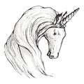 Graphic animal boho illustration - black and white isolated unicorn