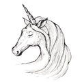 Graphic animal boho illustration - black and white isolated unicorn