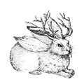 Graphic animal boho illustration - black and white isolated wolpertinger hare