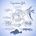 Graphic aquarium fish set