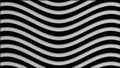 Graphic background of flowing lines in dynamic wave motion white on black, seamless loop. Animation. Monochrome waves