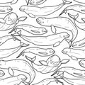 Graphic beluga whale pattern