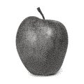 Graphic black and white apple. Vector stylized apple isolated on white background. Stipple vector apple illustration. Apple in