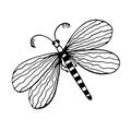 Graphic black and white dragonfly. Hand drawn contour lines and strokes. Royalty Free Stock Photo