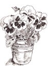 Graphic black and white drawing pansies in a bucket