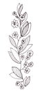 Graphic black and white drawing twig with narrow leaves and small flowers