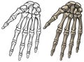 Graphic black and white human bone hand vector
