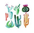 Graphic bright gorgeous sophisticated lovely cute magnificent floral herbal spring colorful seven different cacti with flowers pat