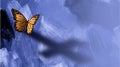 Graphic butterfly with shadow of cross of Jesus