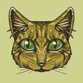 Graphic Cat face. Cats illustration. Good print. Animal muzzle.