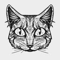 Graphic Cat face. Cats illustration. Good print. Animal muzzle.