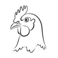 Graphic chicken head, vector