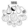 Graphic collection of pumpkins